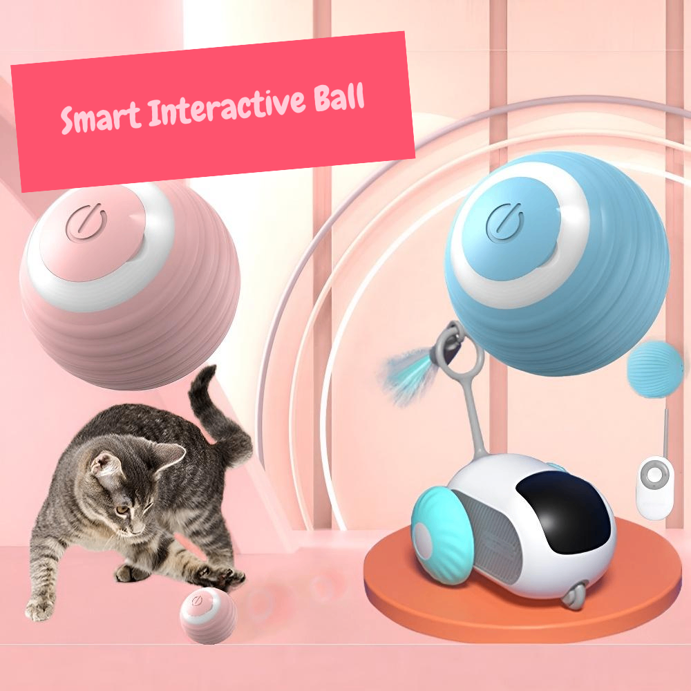 Interactive Smart Ball